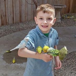 Meet your Posher, Ken